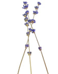 Stemmed English Lavender Sprigs